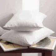 Bioshield EcoSmart Pillow Various Sizes
