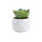 Artificial Potted Plant Succulent W/ Pot Small Faux Decor Cacti R7L8 Fake T2Z3