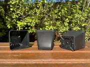 50x Plastic Black Square Pot Succulent Cactus Flower Herb Planter 6.5cm Cube AUS