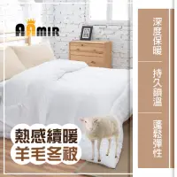 在飛比找momo購物網優惠-【AAMIR】發熱纖維續熱羊毛被