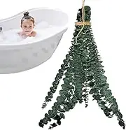 1 Set Dried Eucalyptus Stems - Home Dried Eucalyptus, Dried Eucalyptus Bundles | Eucalyptus Stems Preserved Fresh Leaves, Preserved Eucalyptus Plant Leaves for Bathing Spa Beauty Salon