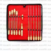 Liposuction Cannulas Luer Lock Nano Fat Transplantation Transfer 17 Pcs Kit