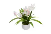 Glamorous Fusion Cream Cymbidium Artificial Fake Plant Decorative Arrangement 43cm In Pot
