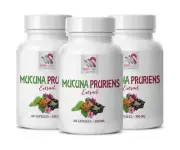 brain and memory pills - MUCUNA PRURIENS EXTRACT - energy support supplement -3B