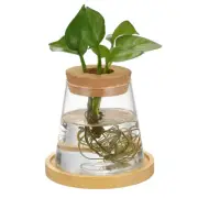 Glass Hydroponic Planter Vase For Indoor Plants Propagation Station Desktop