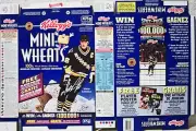 1995 Canadian Mario Lemieux Mini Wheats Cereal Box unused factory Flat s264