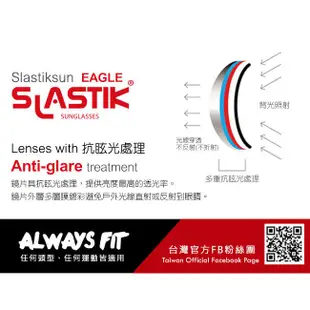 SLASTIK全功能型運動太陽眼鏡 EAGLE極限運動系列(Steller’s Sea)-崇越單車