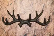 Deer Hunter Cabin Lodge Christmas Gift, Rustic Cast Iron Coat Hat Wall Hook,W-36