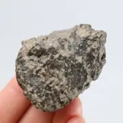 62g NWA Chondrite Meteorite R1808