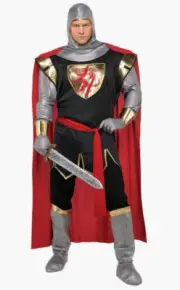 Brave Crusader Adult Costume