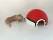 Pokeball Pet Hide - Reptile Habitat Decor - Pokemon Gecko And Small Pet Hideaway