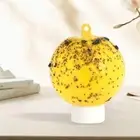 1Pcs Sticky Fruit Fly Traps Ball Fungus Gnat Killer use For Indoor TrapAU-