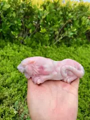 1PC Natural pink opal tiger carved Quartz Crystal stone skull Reiki healing gif