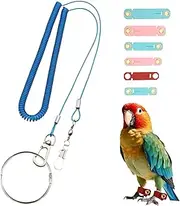 EWEIS 200 Inche Extendable Flight Training Bird Leash, Anti-Bite Bird Harness with 6 Adjustable Soft Leg Rings for Parrots, Conures, Macaws, and Cockatoos – Outdoor Flying Birds Rope Training
