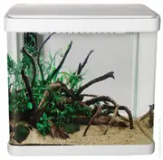 Aqua One LifeStyle 21L Aquarium Gloss White- White