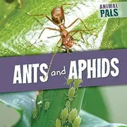 Ants and Aphids