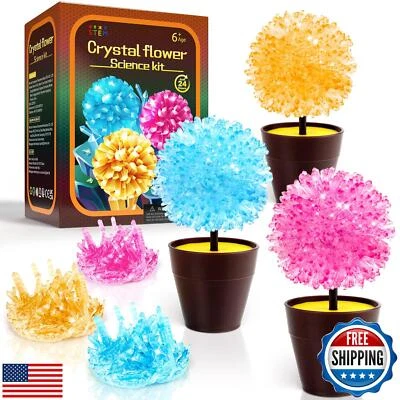 GobiDex Crystal Growing Kit, Science Kits for Kids Age 8-12, Grow Fast in (24
