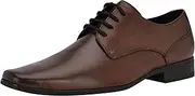 [Calvin Klein] Men's Oxford