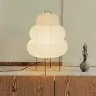 Noguchi Lamp, Rice Paper Floor Lamp, Akari Lamp with 3 Color Temperature Bulb, J