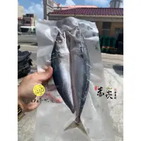 在飛比找蝦皮購物優惠-【澎湖直送🔥】澎湖鯖魚(青花)150-200g