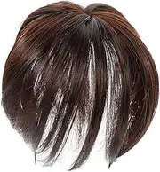 VICASKY Clip Fringe Hair Replacement Piece Seamless Synthetic Hair Bangs Wig for Daily Wear Parties and Cosplay Deep Lightweight and Breathable Design