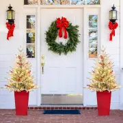 Costway122 CM Pre-lit Artificial Entrance Christmas Tree Potted with 313 Branch Tips