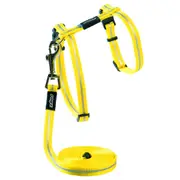 Rogz Alleycat Adjustable Cat Harness & Lead Set Dayglo 11mm
