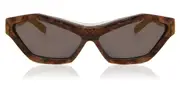 Westward Leaning Solitaire 08 Men's Sunglasses Tortoiseshell Size 60