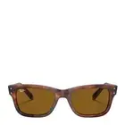 NEW - Official Ray-Ban Mr Burbank RB2283 Sunglasses Striped Havana / Brown