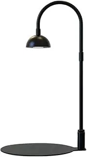 Micro Landscape Plant Growth Lamp with Timmer Fish Light Height Adjustable Full Spectrum Plant Lamp for Desktop Glass Plant Terrarium