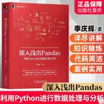 正版🔥深入淺出PANDAS 利用PYTHON進行數據處理與分析 李慶輝 PYTHON數 全新書籍