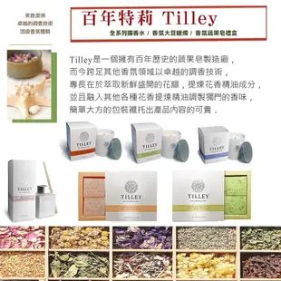 【Tilley 百年特莉】百年香草香氛大豆蠟240g