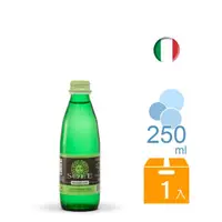 在飛比找PChome24h購物優惠-Sole L’ITALIANA 索蕾經典款礦泉水 250ml