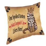 Asian Leopard Spoiled Rotten Cat Throw Pillow 14x14
