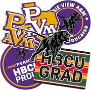 Desert Cactus Prairie View A&M University Sticker Panthers PVAMU Stickers Vinyl Decals Laptop Water Bottle Car Scrapbook (T2 HBCU-B)