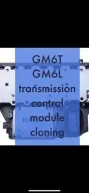 GM TCM cloning