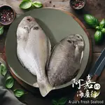 【阿嘉的海產行】大支肉魚二尾組(包冰)300G