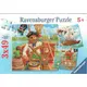 德國 Ravensburger (RV) 維寶【 Pirate Adventure (3X49pcs)】拼圖