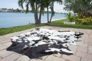 Rodeo Speckled tricolor cowhides rugs cow skin large size approx 6x6-5x7 ft