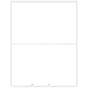 APEX W-2 2-Up Blank Face With W2 Backer Instructions - Pack of 500