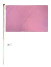 5' Wood Flag Pole Kit Wall Mount Bracket 3x5 Pink Solid Color Polyester Flag