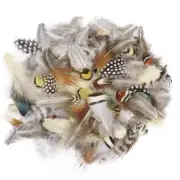 50pcs Random Mixed Natural 4-10cm Pheasant Guinea Feathers DIY Craft Jewellery