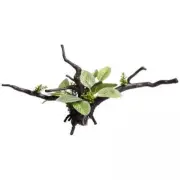 Aqua One Ecoscape Driftwood Ornament Ignotous