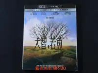 在飛比找Yahoo!奇摩拍賣優惠-大智若魚 Big Fish UHD  BD 雙碟限定版