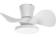 ocioc Quiet Ceiling Fan with LED Light 22 inch Large Air Volume Remote Control