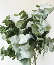 ARTIFICIAL EUCALYPTUS FOLIAGE DUSTY LEAF GREENERY STEM BRANCH FLOWERS STEMS x 1