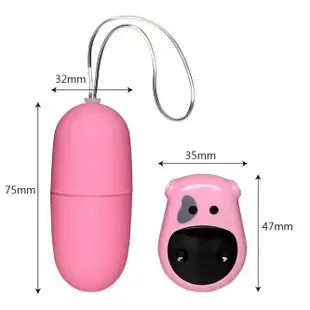 Wireless Remote Control Multi Speeds Vibrating Egg Sex Toy F