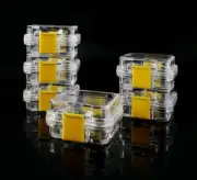 20 Pcs Complete Denture Protector Storage Box Dental Jewelry Box with Film Clear