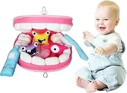 Dentist Toys - Fun dantal Care Training, Educational Oral Hygiene Set | Educational Toddler Teeth Cleaning Set, dantal Learning Game, Teaching Children Brushing Model for Kindergarten Children