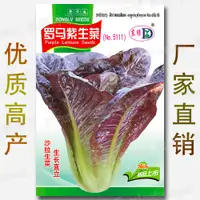 在飛比找蝦皮購物優惠-羅馬紫生菜種子 約1000粒 直立咖啡香麥菜四季沙拉菜紫羅馬